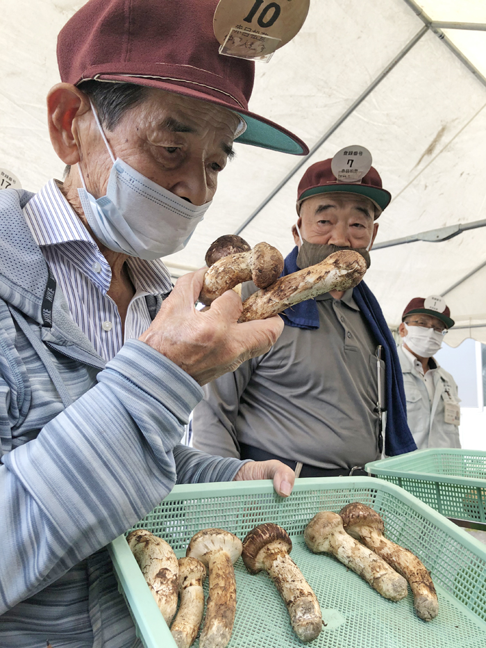 赤目松茸」初市 1キロ最高7・2万円 入荷量前年の10倍 | 【伊賀タウン ...