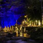 「幽玄の竹灯」 赤目滝ライトアップ始まる 来年1月末まで