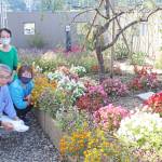 手つかずの花壇 有志が整備 名張・梅が丘市民センター