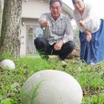 どくろ?ボール? いえ、「きのこ」です 伊賀市で