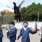 キジ放鳥 生き物の大切さ学んで 名張の2小学校で