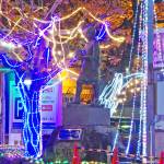 観阿弥像も光の中 名張駅前イルミ2月まで 周辺グルメ投稿企画も