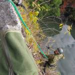 自衛隊が高石垣の雑木伐採 訓練兼ね 伊賀上野城