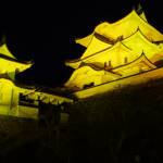 岡波病院で2人感染 県内17人を確認 11人目の死者も