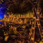 赤目滝の竹あかり写真が秋大賞 インスタフォトコン「#名張感動」