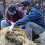 「山の神」の大しめ縄作り 伊賀・岡八幡宮