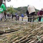奈良・唐招提寺に送る竹を伐採選別 うちわまきの宝扇に 名張市