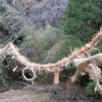 無形民俗文化財に新指定 伊賀のカンジョウナワ行事 伊賀市教委