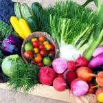 ヨーロッパ野菜 先進生産地にオンラインで学ぶ 名張市主催