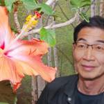 ハイビスカス花盛り 音楽室の鉢植えが自宅で 伊賀・和田さん