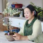 涼の世界 浅利さん山野草展 赤井家住宅で4日から