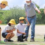 ニッポンハナダカバチ観察会 名張の薦原小で
