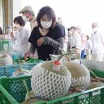 美旗メロン直売開始 今年も甘く上々の出来 名張市