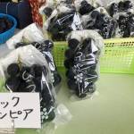 旬の特産ブドウが盗難被害 生産者が悔しさ語る 名張・青蓮寺