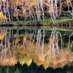 42人の選りすぐり写真 名張の5クラブ合同展 15日から