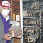 間伐材活用しキクラゲ栽培 薪ボイラーと床暖房で 名張のNPO