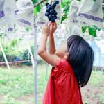 インスタフォトコン「#名張感動」夏編 最高賞に西口さんと上杉さん