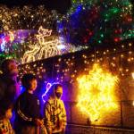 祈りの光ともる 亡くなったがん患者ら鎮魂 名張・広野さん方のイルミ