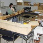 10万円給付、年内に現金一括方針 補正案追加提出へ 名張市