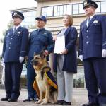 寅年、トラ丸が守るワン! “鼻の捜査官”嘱託警察犬に 名張署
