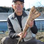 畑に手!? 5本の指 伊賀市の稲林さんが育てたナガイモ