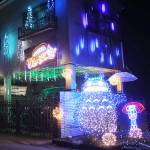 2万球のLED 山里彩る「クボナリエ」 京都・南山城村の久保さん方