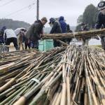 奈良・唐招提寺に送る竹を準備 うちわまきの宝扇に 名張市