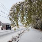 伊賀地域で積雪 強い寒気の影響