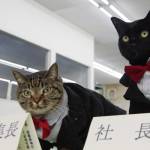 会社前で捨てられていた子猫、9年半後に社長就任「スーパー猫の日」 三重のユー