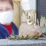 枯れ葉じゃないの?アケビコノハだよ 名張の住宅街で