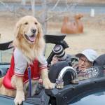 愛情込め「わんこ」撮る 歴代の愛犬や「友だち」も 名張の水谷さん