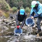 滝川にアマゴ放流 19日に渓流釣り解禁 名張川漁協