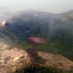 特定外来生物・コクチバスの繁殖防ぐ 産卵床確認にドローン 名張の宇陀川