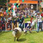 ゴールデンウィークのイベント情報 伊賀地域や近隣