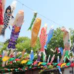 こいのぼり100匹泳ぐ 「豚のぼり」も 伊賀・モクモクファーム