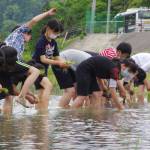 児童が昔ながらの田植え体験 米作り学ぶ 名張の薦原小