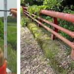 橋欄干の「擬宝珠」盗まれる 真鍮製で被害80万円 伊賀市