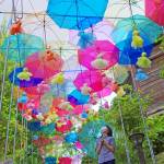 色とりどり傘アート 晴れも雨も楽しんで 伊賀・モクモクファーム