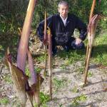 “舌”がニョキニョキ!? 伊賀市の藤森さんの畑