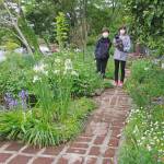 給油所裏は季節の庭園 数百種の花、次々盛り 伊賀市の西尾さん