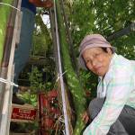 長ヒョウタン2・7メートルに成長 伊賀市玉瀧で