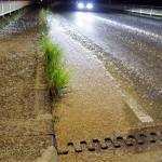 秋夜に“吹雪”と悲鳴 橋上に白く積もったのは虫 名張でカゲロウ大発生
