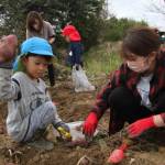 園児が芋掘り体験 伊賀市農業公園で