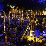 赤目渓谷染める「幽玄の竹あかり」 22日からライトアップ 規模拡大