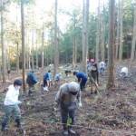 霊山にミツマタ植樹 20日の参加ボランティア募る 伊賀