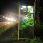 つる草が電話ボックス占拠 伊賀市の国道沿い 自然にのみ込まれるよう