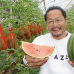 あま~い冬スイカ 収穫始まる 「空中栽培」で育てる名張の風農園
