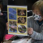捨て猫保護のボランティア団体 活動支援求め嘆願書 伊賀市