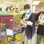 相次ぐ猫保護「里親を選択肢に」 不適切飼育が名張でも 保護団体に聞く