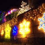 祈りの電飾ともる 亡くなったがん患者ら鎮魂 名張の広野さん方